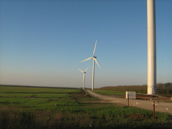 IMG_3648_новый размер.JPG (126.52 KiB) Просмотров: 3369 IMG_3648_новый размер.JPG