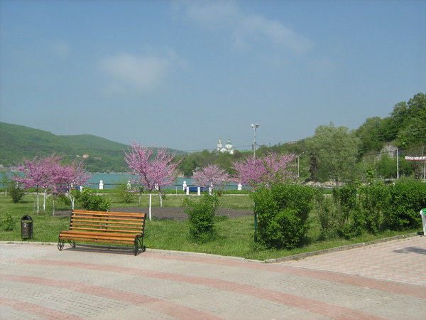 IMG_3737_новый размер.JPG