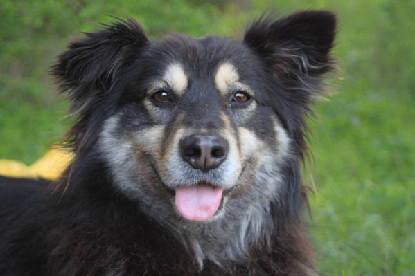 getImageCAQDYFA4.jpg (43.76 KiB) Просмотров: 1314 getImageCAQDYFA4.jpg