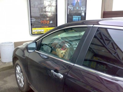 blond.jpg (84.4 KiB) Просмотров: 6876 blond.jpg