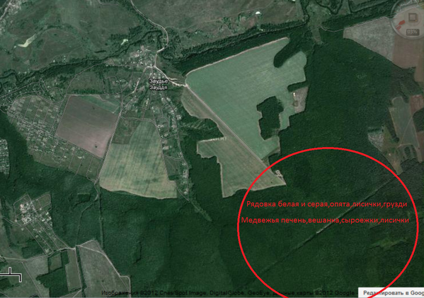 Снимок.PNG (1.11 MiB) Просмотров: 1908 Снимок.PNG