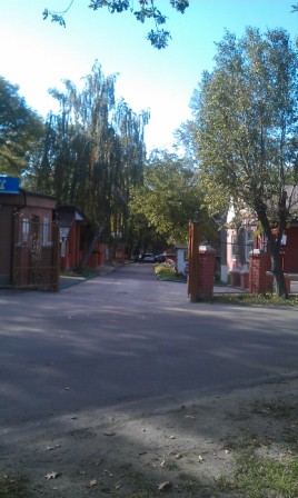 IMAG0859.jpg