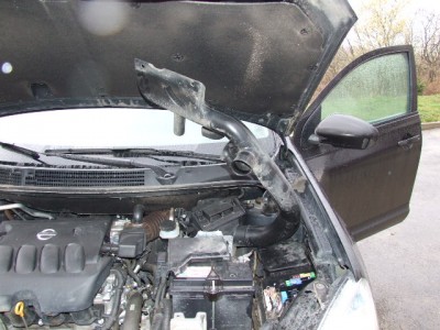 цуцики 027.jpg (111.62 KiB) Просмотров: 5955 цуцики 027.jpg