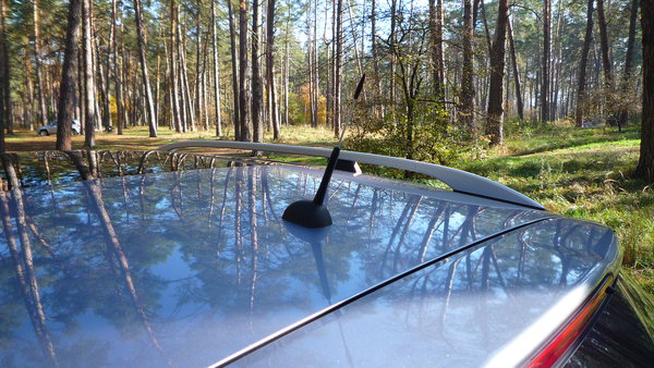 P1020990.JPG (3.68 MiB) Просмотров: 4302 P1020990.JPG