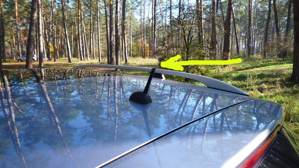 P10209910.JPG (1.72 MiB) Просмотров: 4284 P10209910.JPG