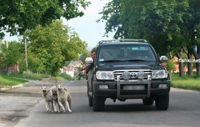 002_strange_people.jpg (270.68 KiB) Просмотров: 1309 002_strange_people.jpg