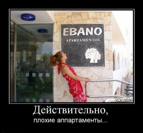 1wYuZJ1GVTQ[1].jpg