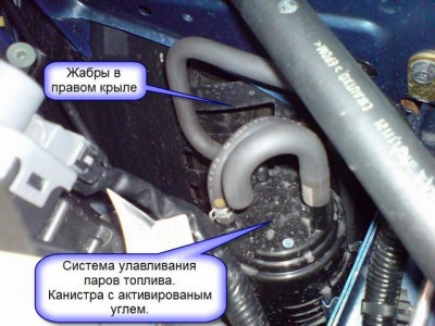 evap.JPG (114.7 KiB) Просмотров: 2364 evap.JPG