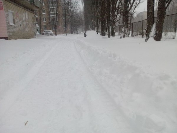 tn_IMG_20130323_065607.jpg