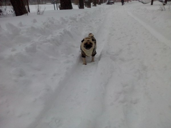 tn_IMG_20130323_070122.jpg