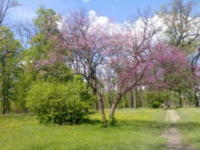 Фото120r.jpg (40.37 KiB) Просмотров: 10434 Фото120r.jpg