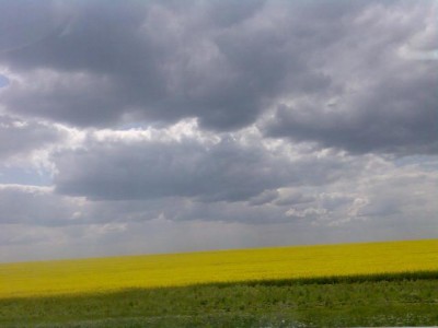 Фото144a.jpg (23.41 KiB) Просмотров: 10434 Фото144a.jpg