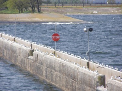 P1012657.JPG (83.72 KiB) Просмотров: 2662 P1012657.JPG