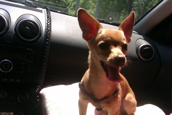 IMAG0248.jpg (513.63 KiB) Просмотров: 1463 IMAG0248.jpg