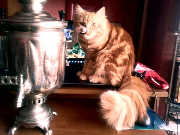 Ричи.jpg (752.44 KiB) Просмотров: 2930 Ричи.jpg