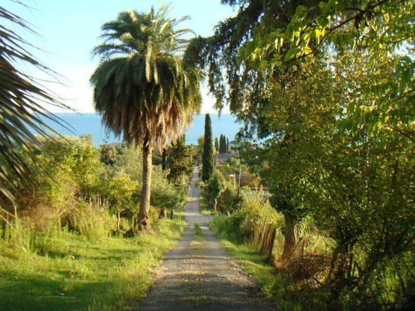 DSC06610.JPG (162.53 KiB) Просмотров: 3156 DSC06610.JPG