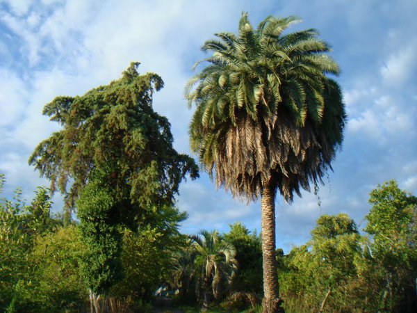 DSC06609.JPG (126.97 KiB) Просмотров: 3156 DSC06609.JPG