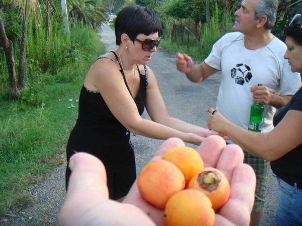 DSC06602.JPG (101.74 KiB) Просмотров: 3156 DSC06602.JPG