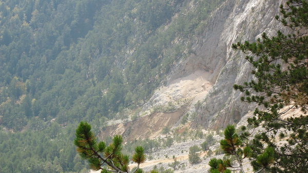 DSC04487_новый размер.JPG (197.29 KiB) Просмотров: 2655 DSC04487_новый размер.JPG