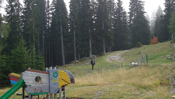 DSC04512_новый размер.JPG (192.49 KiB) Просмотров: 2671 DSC04512_новый размер.JPG