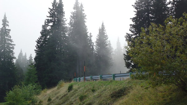 DSC04514_новый размер.JPG (159.23 KiB) Просмотров: 2655 DSC04514_новый размер.JPG