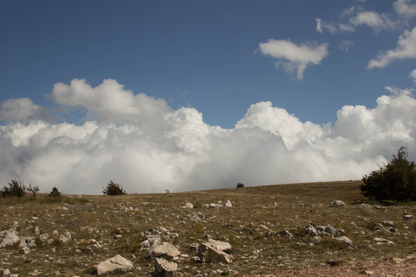 IMG_4106.jpg (1.43 MiB) Просмотров: 8629 IMG_4106.jpg