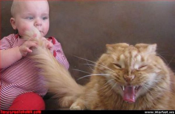 2222_861.jpg (39.08 KiB) Просмотров: 1605 2222_861.jpg