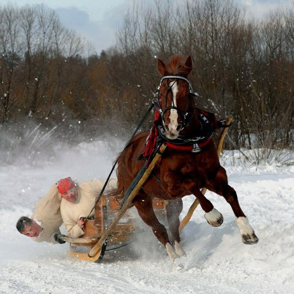 lol_16.jpg (84.75 KiB) Просмотров: 2012 lol_16.jpg