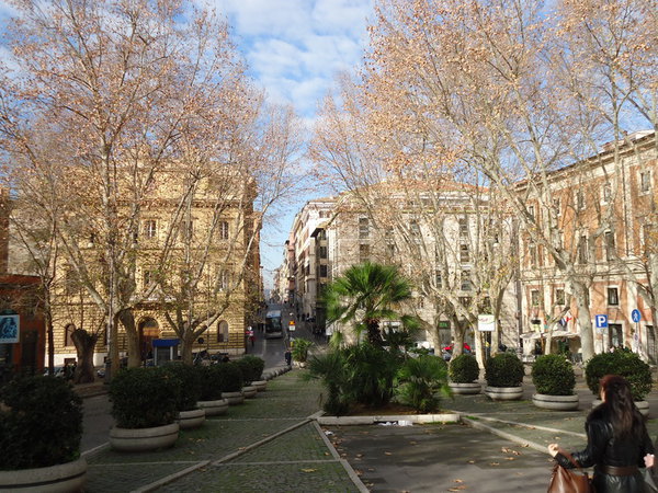 DSC04702_новый размер.JPG (316.87 KiB) Просмотров: 4679 DSC04702_новый размер.JPG