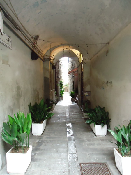 DSC05015_новый размер.jpg