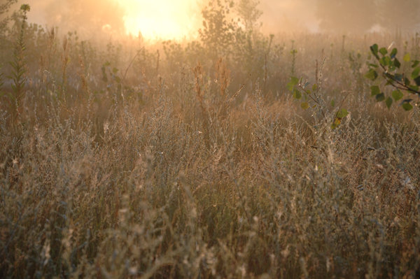 DSC_1056.jpg