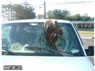 Индейка-.jpg (90.02 KiB) Просмотров: 2056 Индейка-.jpg