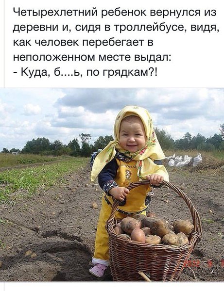 image-3f936cb795d6bcc3e0019f44b0083044da1eaeedc2097d725dc60f7274005536-V.jpg