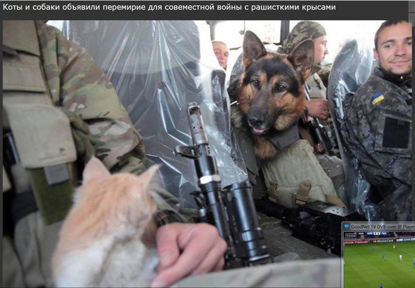 Снимопк.JPG