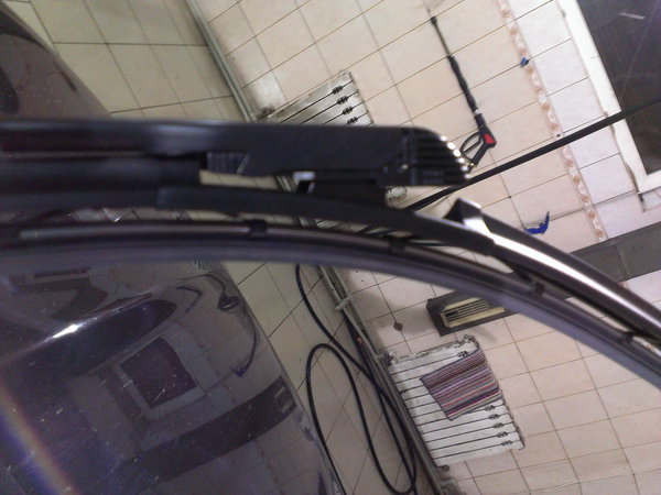 IMAG0554.jpg