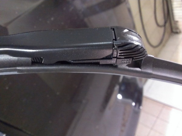 IMAG0555.jpg