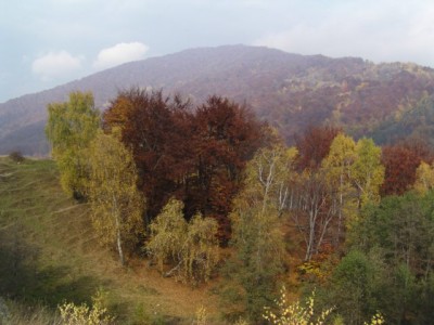p1010003.jpg