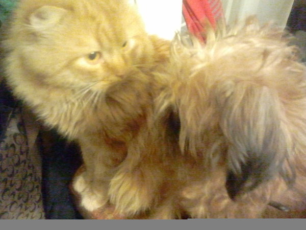 2015-01-01 17.17.45.jpg (1.49 MiB) Просмотров: 3570 2015-01-01 17.17.45.jpg