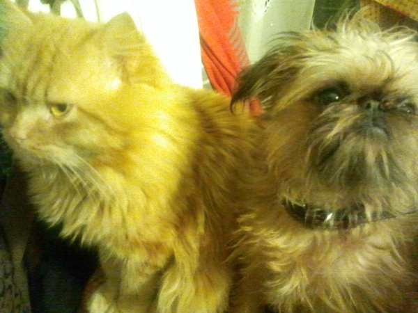 2015-01-01 17.17.32.jpg (1.45 MiB) Просмотров: 3570 2015-01-01 17.17.32.jpg