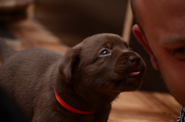 DSC_3121.JPG (4.33 MiB) Просмотров: 3524 DSC_3121.JPG