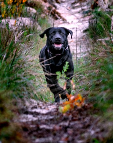 f71vPqb4Azg.jpg (69.1 KiB) Просмотров: 3481 f71vPqb4Azg.jpg