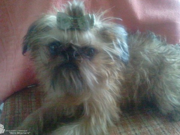 kuJw3KLVsJo.jpg (48.5 KiB) Просмотров: 3441 kuJw3KLVsJo.jpg