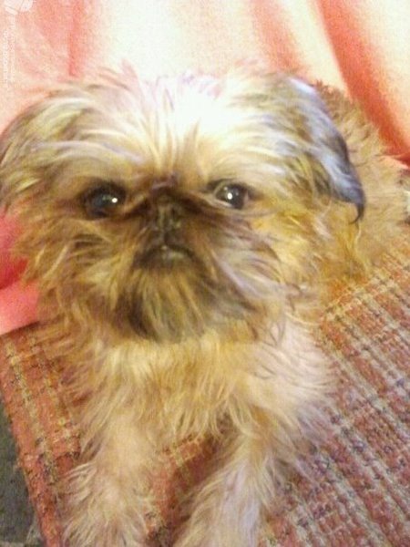 nO1w3obhFOE.jpg (55.05 KiB) Просмотров: 3424 nO1w3obhFOE.jpg