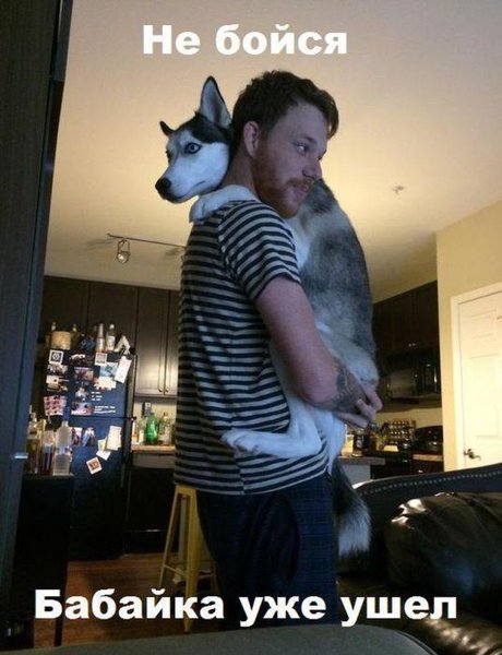 1422734968_fyv-0-013.jpg (52.9 KiB) Просмотров: 3332 1422734968_fyv-0-013.jpg