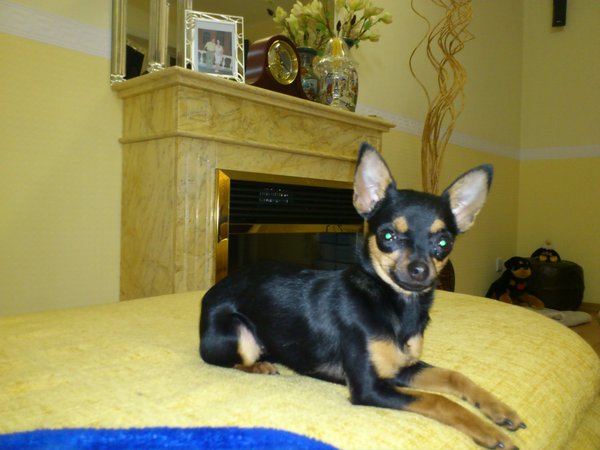 DSC_0403.jpg (242.7 KiB) Просмотров: 2833 DSC_0403.jpg