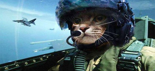 1435131766_kot.jpg (44.51 KiB) Просмотров: 2415 1435131766_kot.jpg