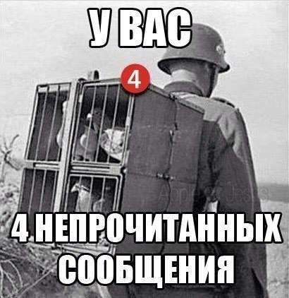 12039656_936033813118607_8392865837108049134_n.jpg