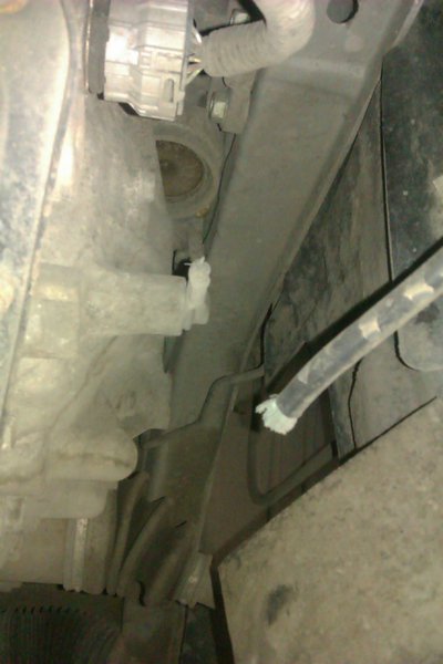 IMAG1085.jpg (607.79 KiB) Просмотров: 4819 IMAG1085.jpg