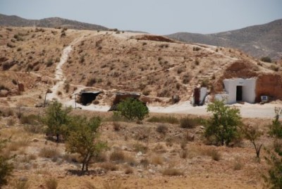 берберские норки.JPG