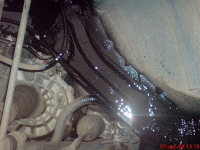 DSC00235.JPG (78.27 KiB) Просмотров: 3431 DSC00235.JPG